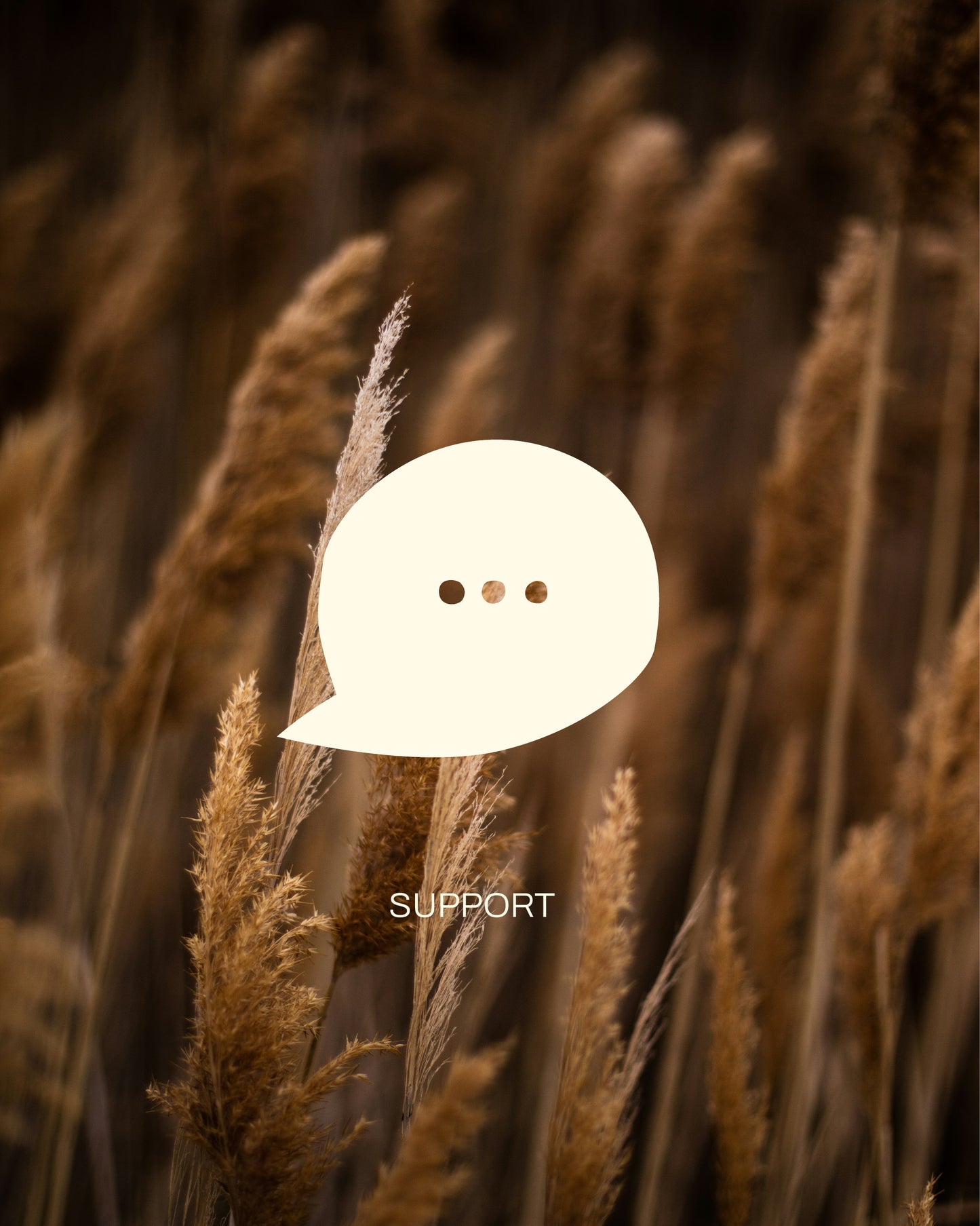 16 Webshop Icons – Organic Bold