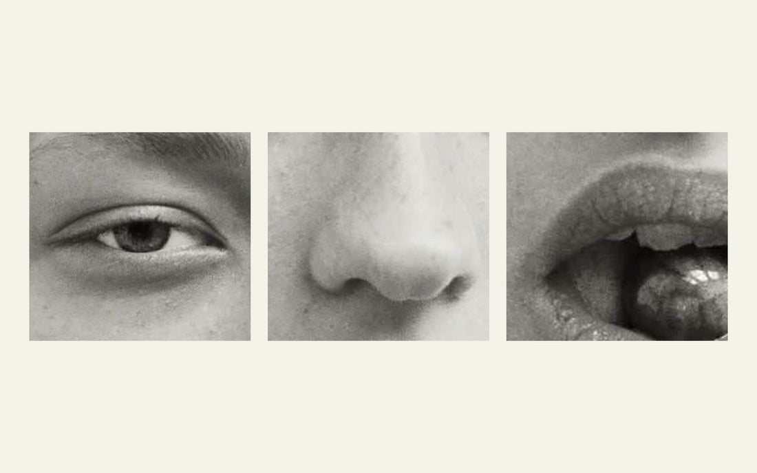 Brand beyond the visuals Integrating the senses in storytelling