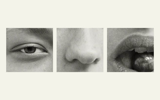 Brand beyond the visuals Integrating the senses in storytelling