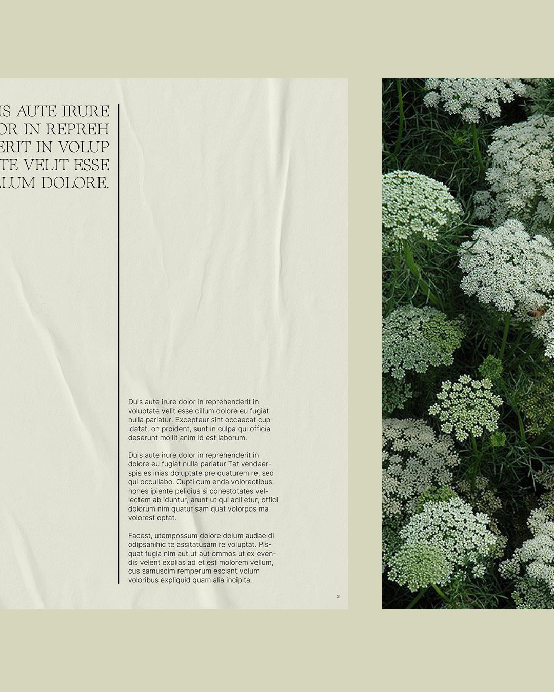 04_Design Layouted Pages