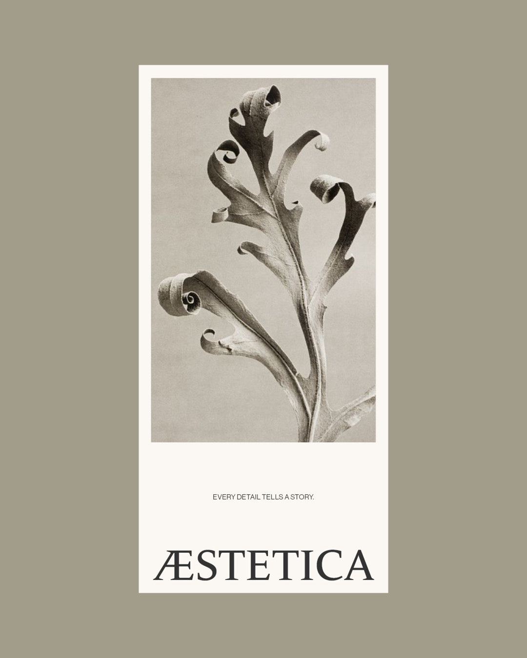 09 Design - Æstetica - Layouted (10) Pages Template (M65)