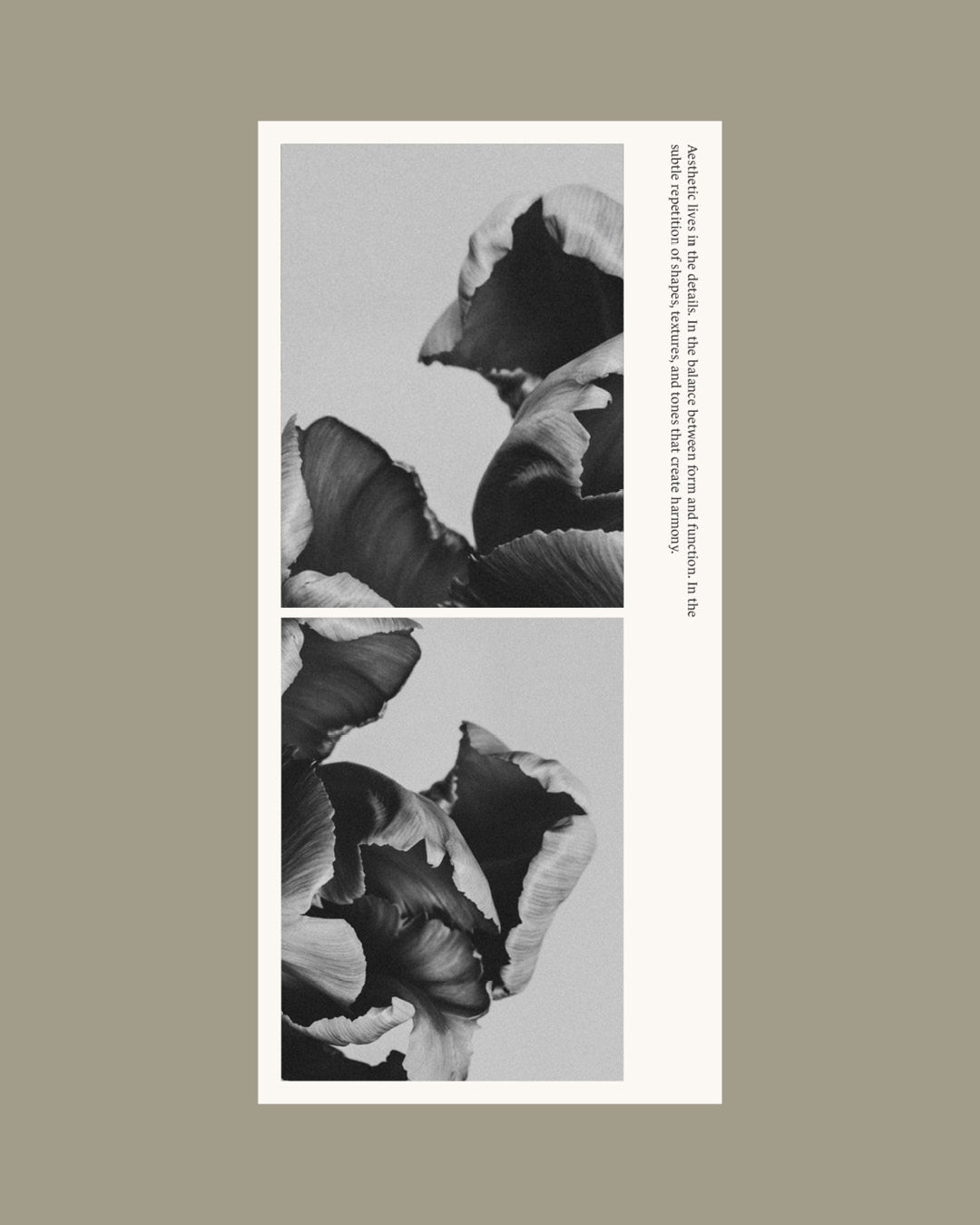 09 Design - Æstetica - Layouted (10) Pages Template (M65)