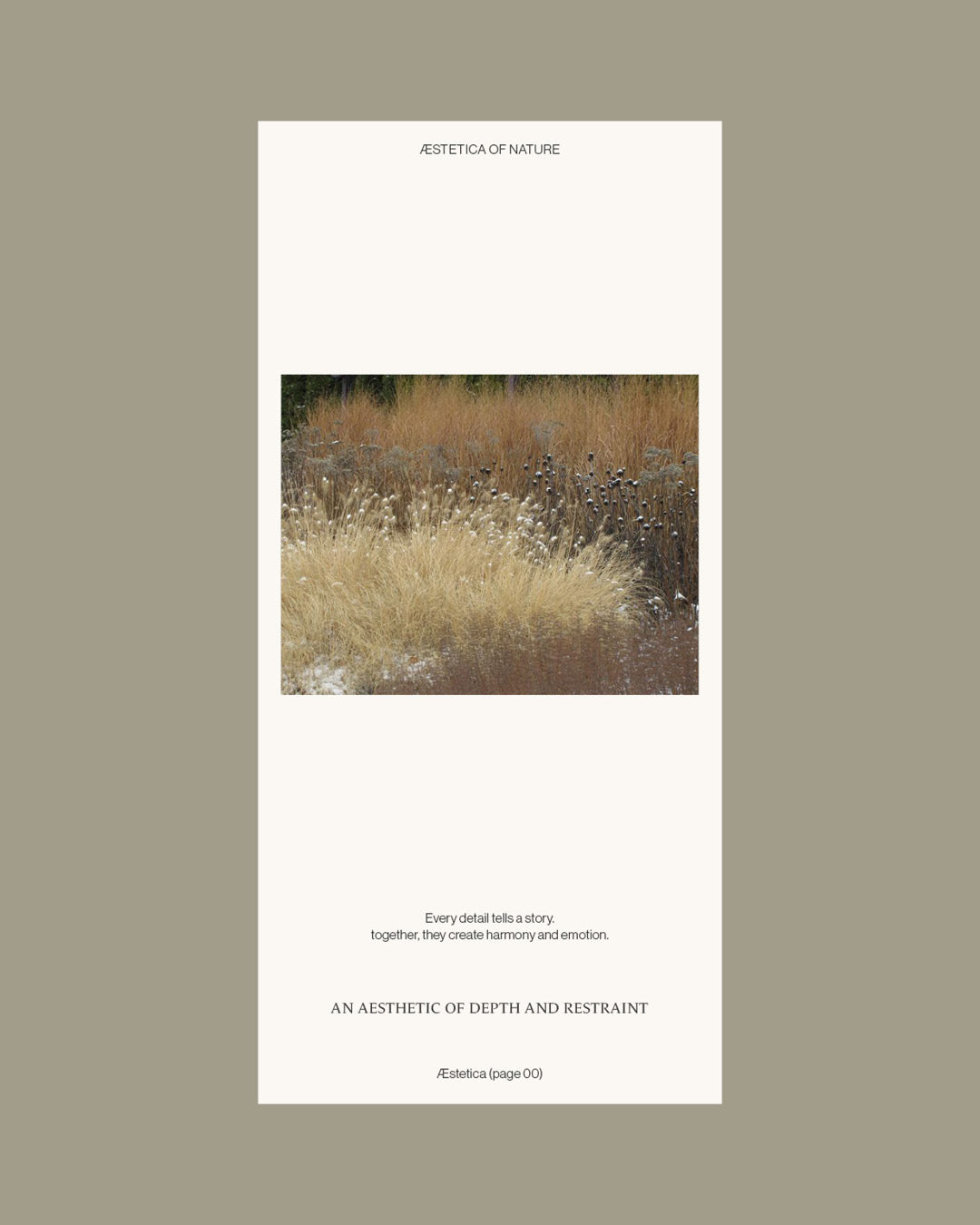 09 Design - Æstetica - Layouted (10) Pages Template (M65)