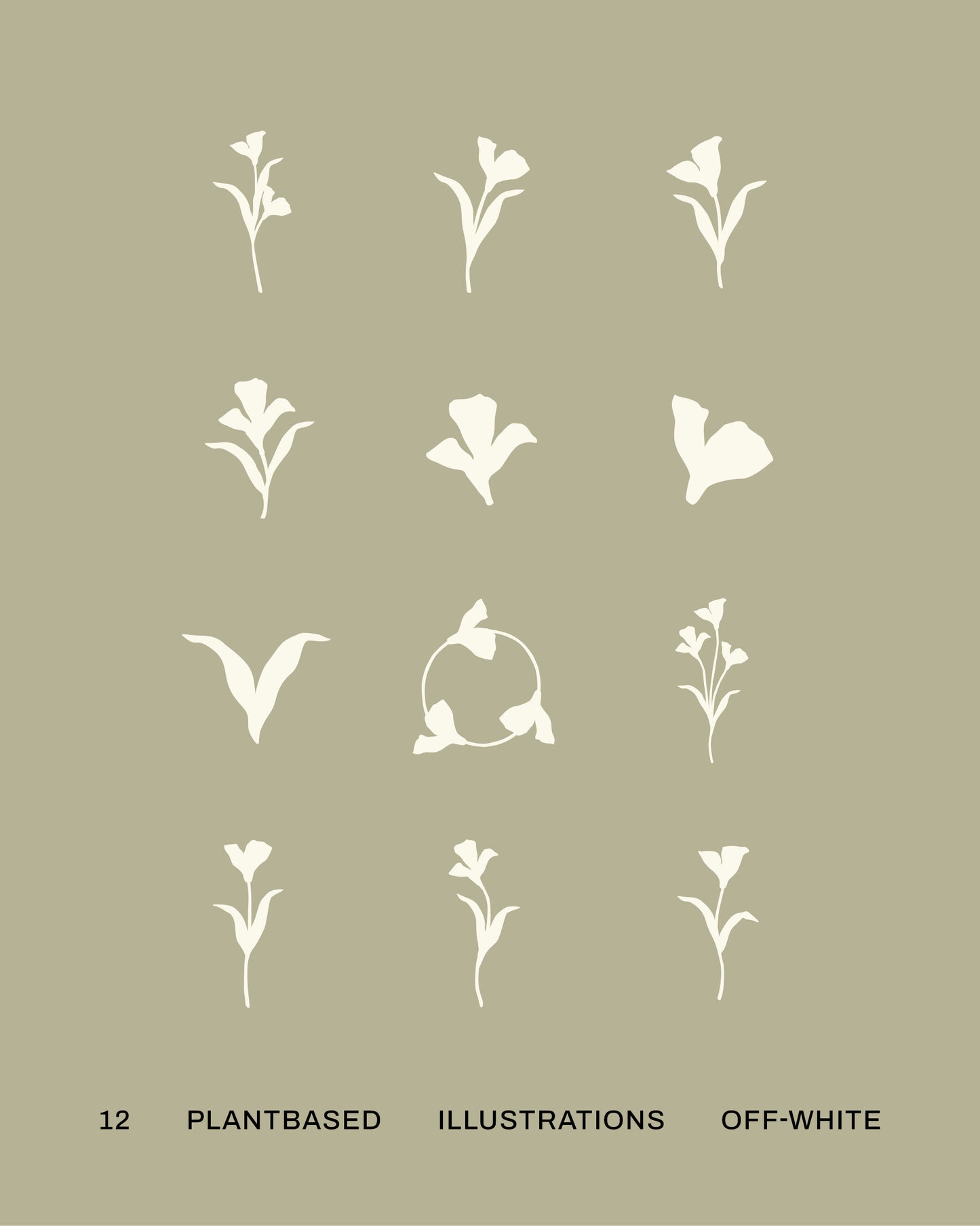 12 Plant-Based Illustrations