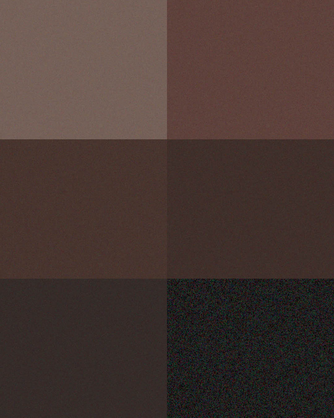 Color Bundle (The Grounded) Palette