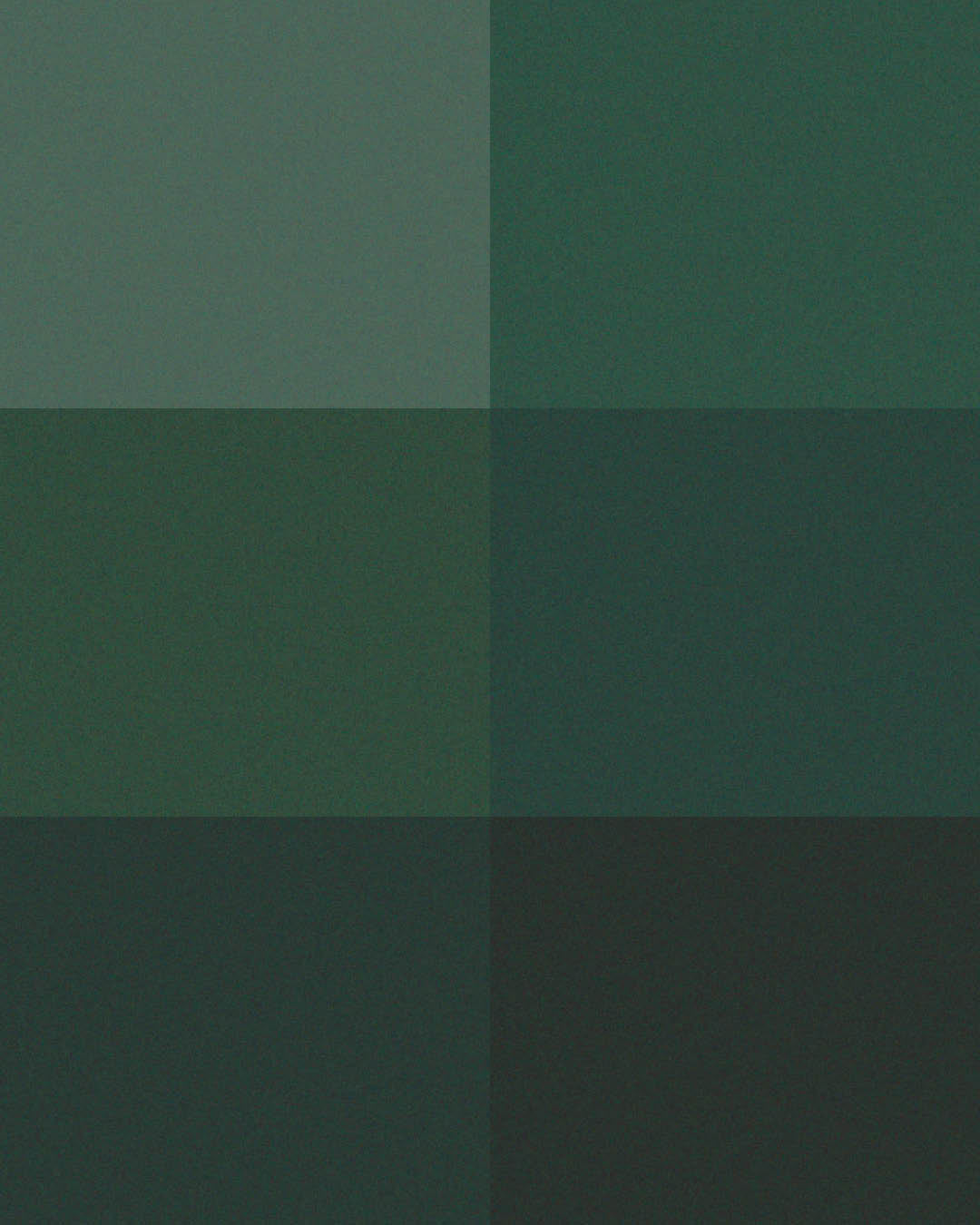 Color Bundle (Grounded Mint) Palette