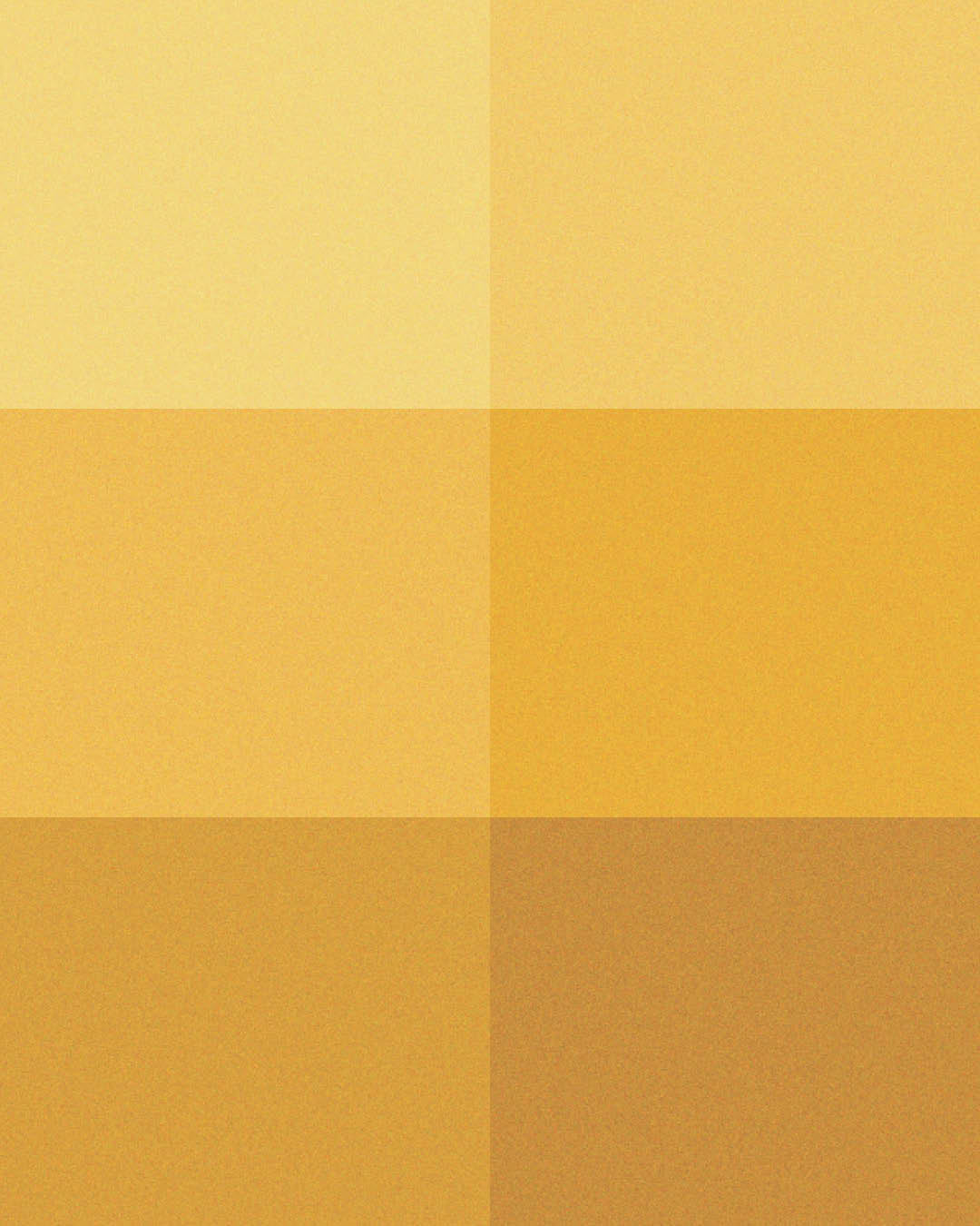 Color Bundle (Sun Kissed) Palette