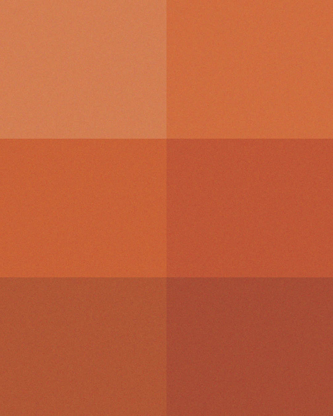 Color Bundle (Sun Kissed) Palette