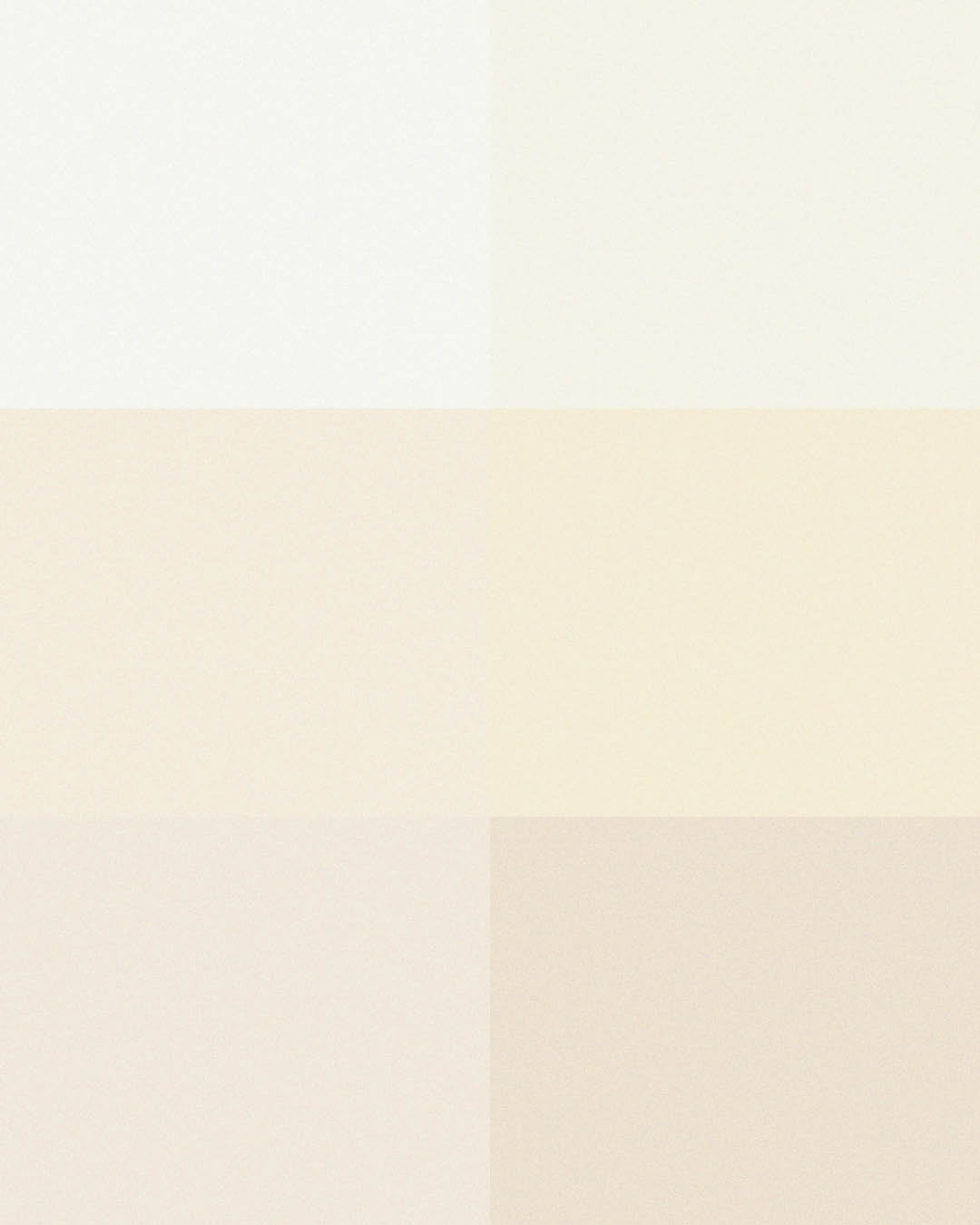 Color Bundle (The Grounded) Palette